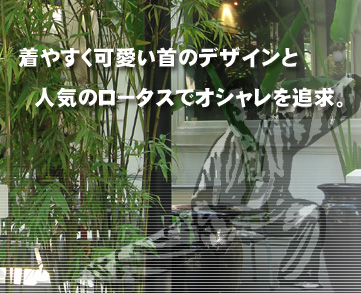 着やすく可愛い首のデザインと人気のロータスでオシャレを追求