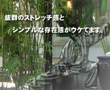 抜群のストレッチ感とシンプルな存在感がウケてます