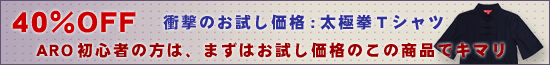 定番シンプル太極拳Tシャツ